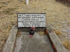 Full-size image