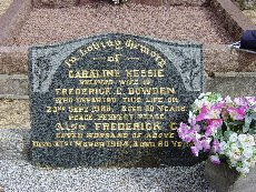 Full-size image