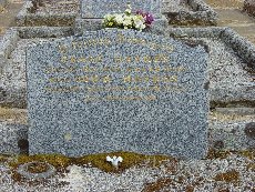 Full-size image