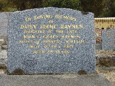 Full-size image