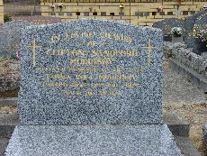Full-size image