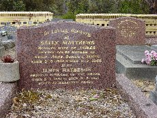 Full-size image
