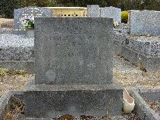 Full-size image