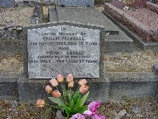 Full-size image