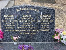 Full-size image