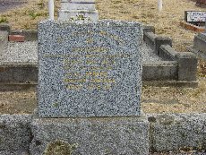 Full-size image
