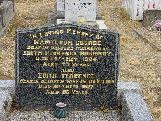 Full-size image