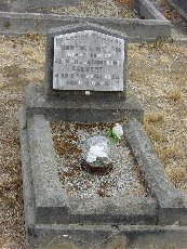 Full-size image