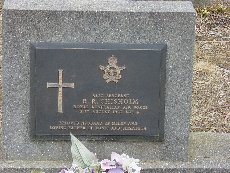 Full-size image