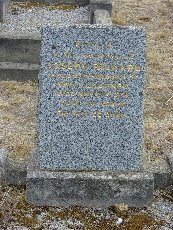 Full-size image