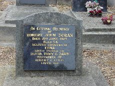 Full-size image