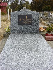 Full-size image