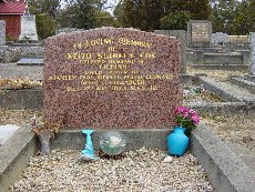 Full-size image