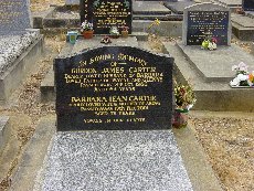 Full-size image