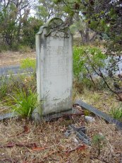 Full-size image