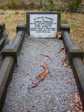Full-size image