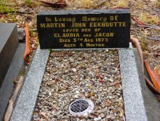 Full-size image