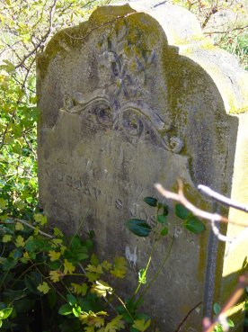 Full-size image