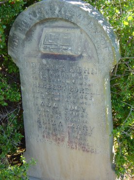 Full-size image