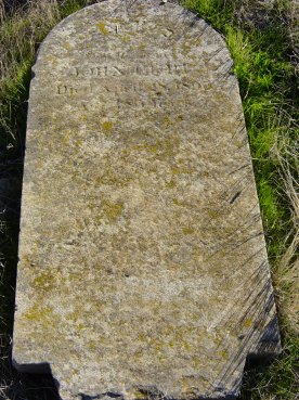 Full-size image