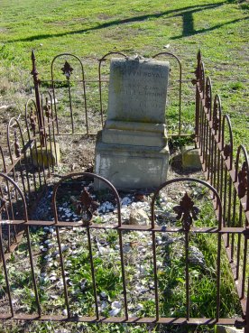 Full-size image