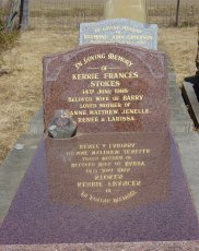 Full-size image