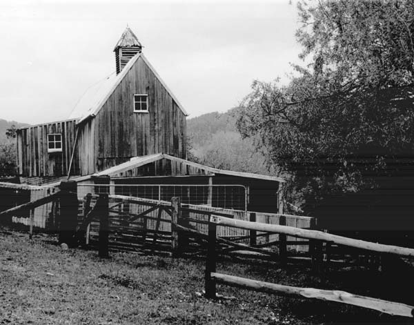 Full-size image
