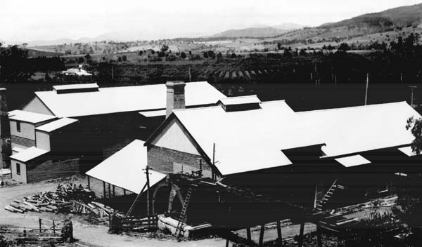 Full-size image