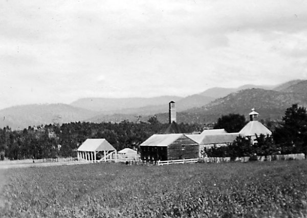 Full-size image