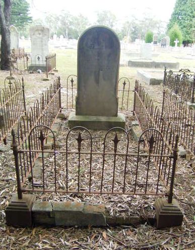 Full-size image