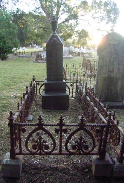 Full-size image