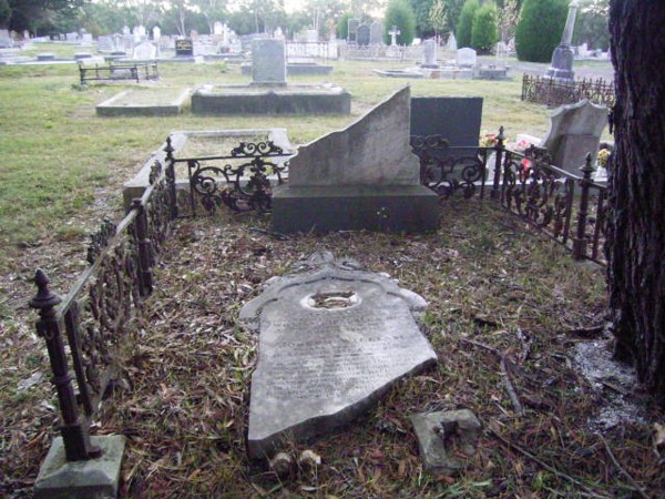 Full-size image