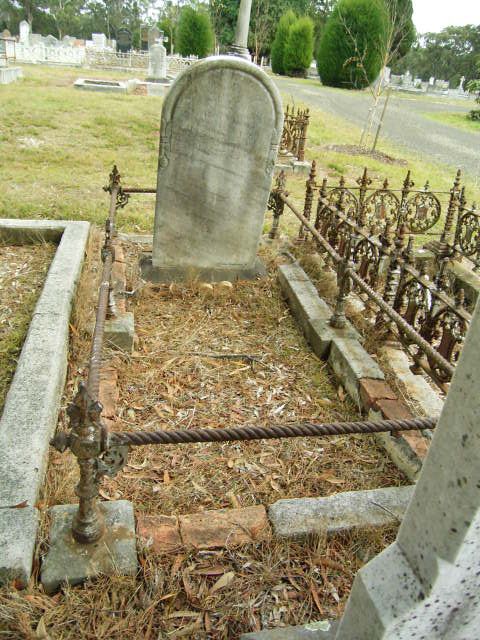 Full-size image