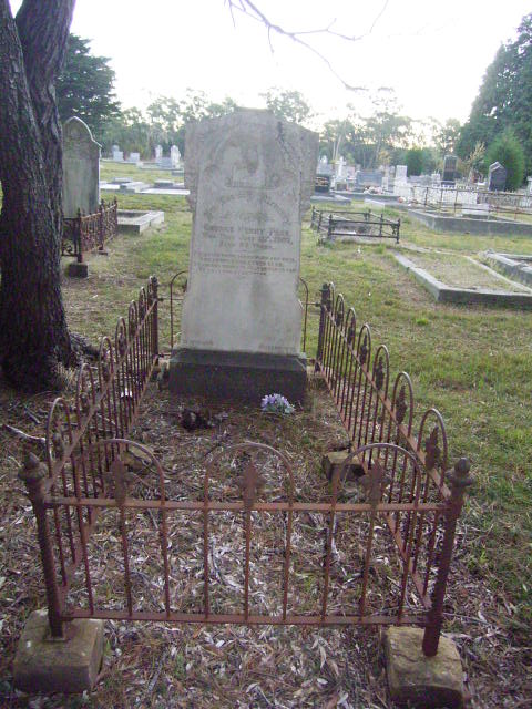 Full-size image