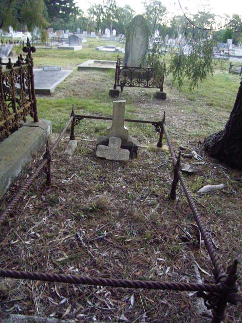 Full-size image