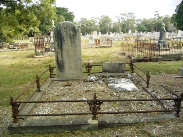 Full-size image