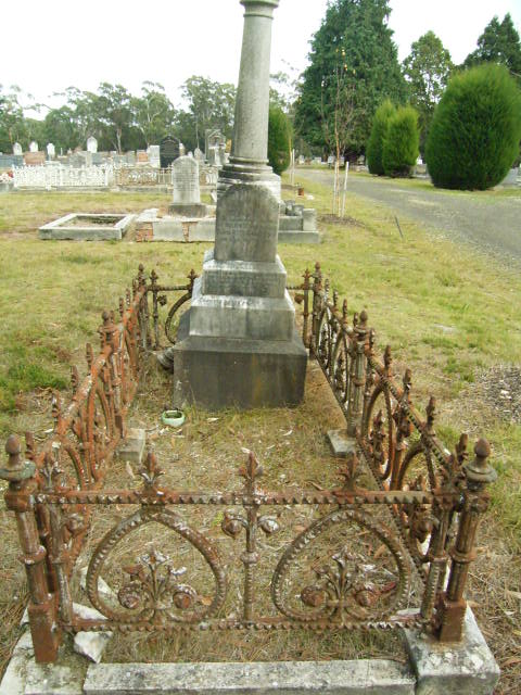 Full-size image
