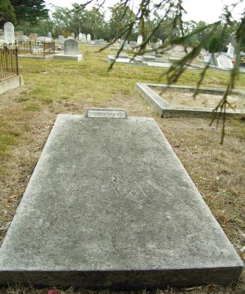 Full-size image