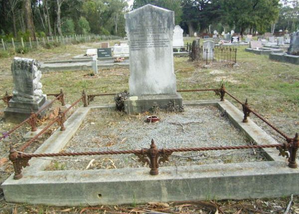 Full-size image