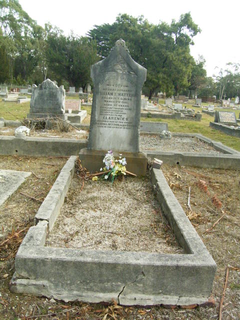 Full-size image
