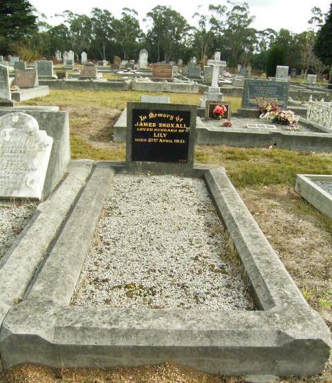 Full-size image