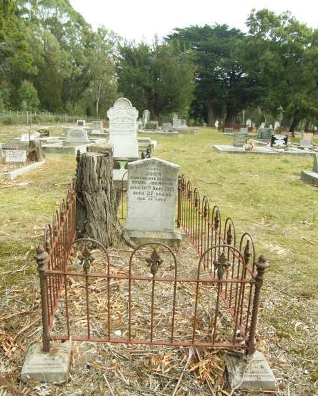 Full-size image