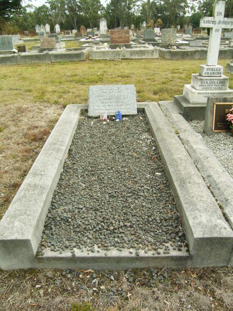 Full-size image