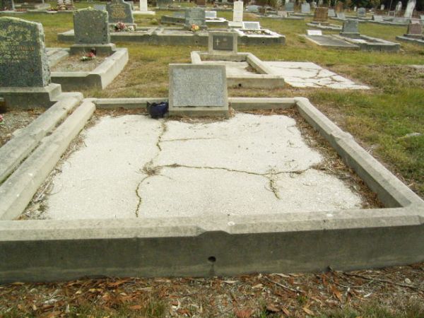 Full-size image