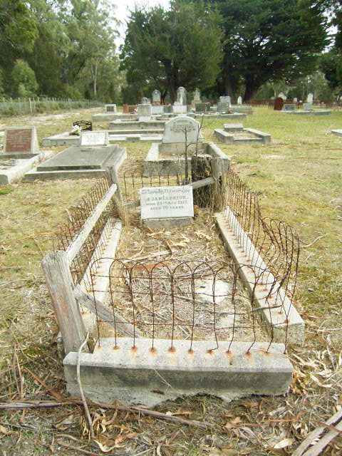Full-size image