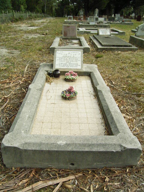 Full-size image