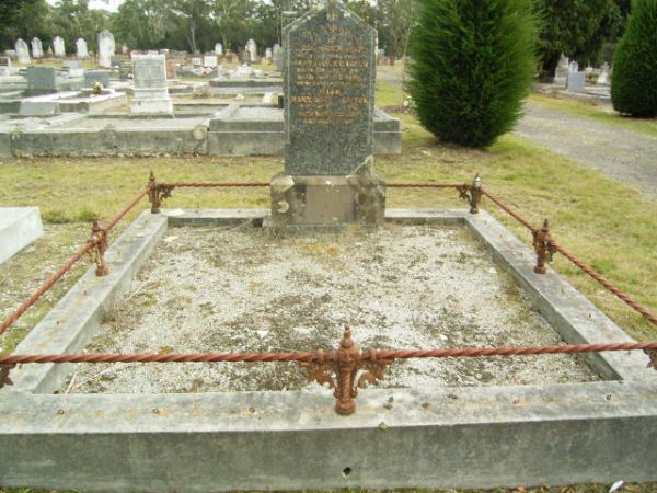 Full-size image