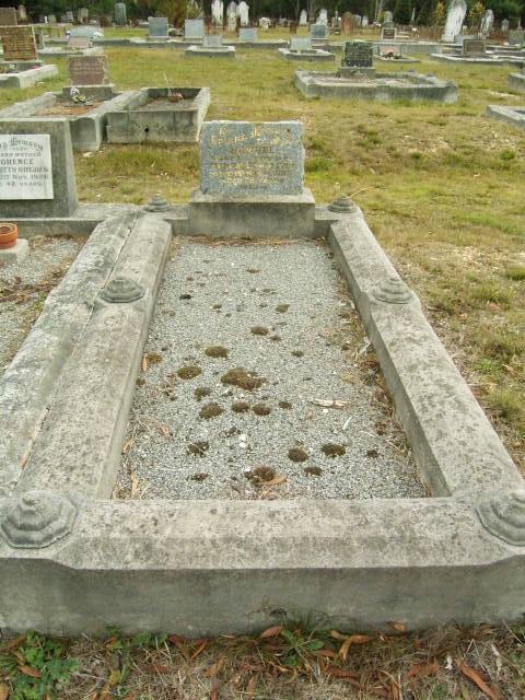 Full-size image