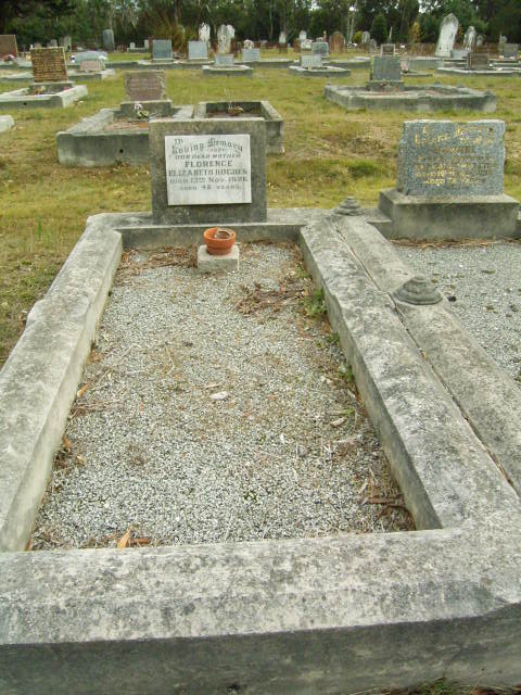 Full-size image