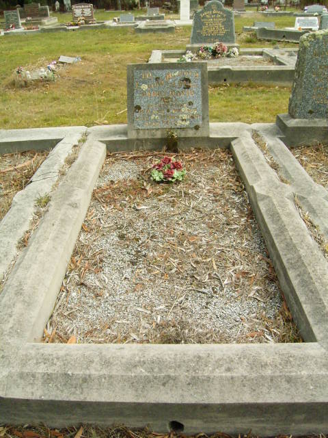 Full-size image